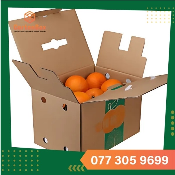In hộp carton giá rẻ – Đặt nhanh, giao chuẩn, in sắc nét