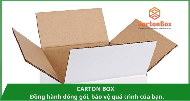 Thùng Carton Đóng Hàng: Giải Pháp Hoàn Hảo Cho Doanh Nghiệp Của Bạn
