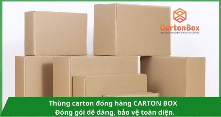 Những Kiểu Dáng Thùng Carton Đóng Hàng Phổ Biến Nhất