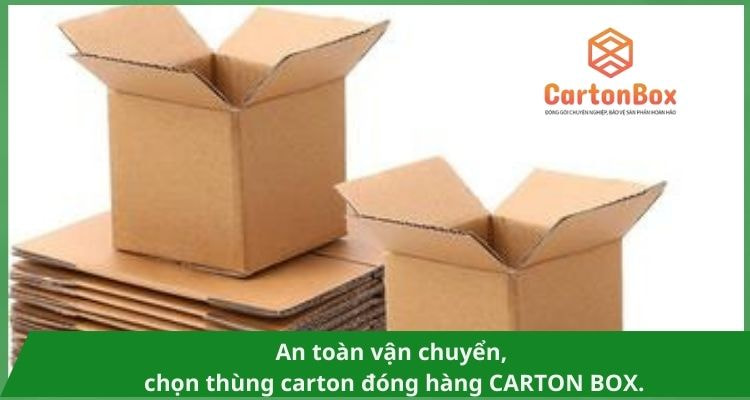 Thùng Carton Đóng Hàng: Sự Lựa Chọn Thân Thiện Với Môi Trường