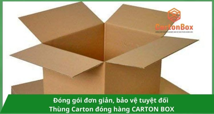 Xu Hướng Sử Dụng Thùng Carton Đóng Hàng Trong Ngành Thương Mại Điện Tử