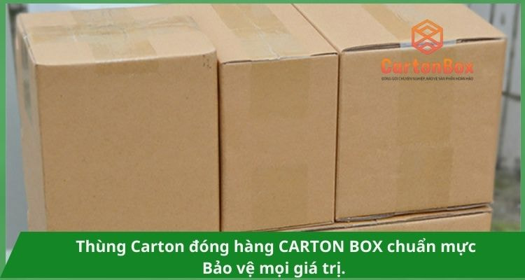 Thùng Carton Đóng Hàng: Sự Lựa Chọn Thân Thiện Với Môi Trường