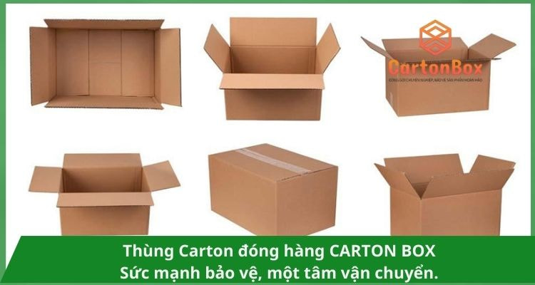 Cách Chọn Thùng Carton Đóng Hàng Phù Hợp Với Nhu Cầu Của Bạn