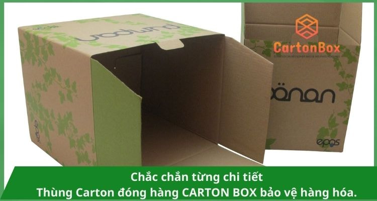 Những Kiểu Dáng Thùng Carton Đóng Hàng Phổ Biến Nhất