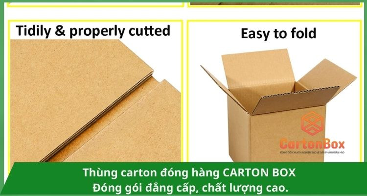 Giải Pháp Đóng Gói Bền Vững Với Thùng Carton Đóng Hàng Cao Cấp