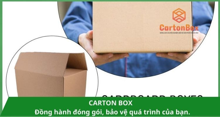 Tại Sao Nên Chọn Thùng Carton Đóng Hàng Cho Vận Chuyển An Toàn?