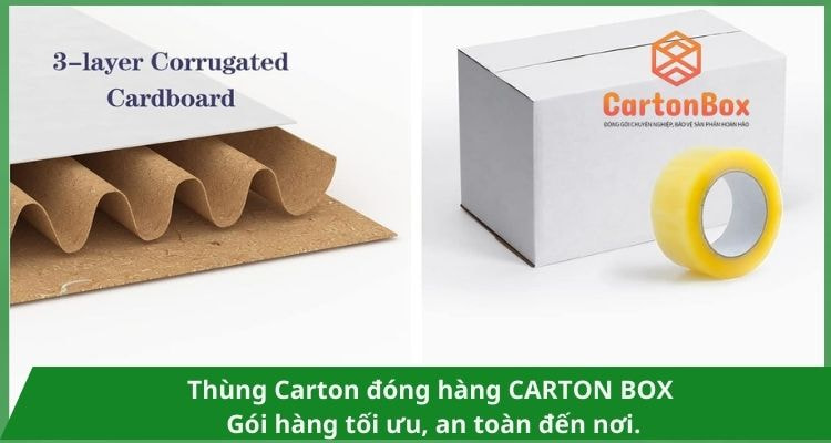 Những Kiểu Dáng Thùng Carton Đóng Hàng Phổ Biến Nhất