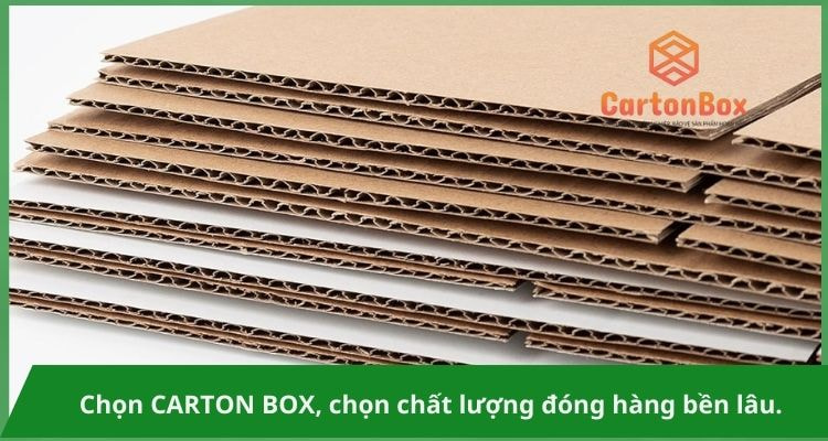Những Kiểu Dáng Thùng Carton Đóng Hàng Phổ Biến Nhất