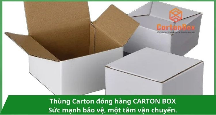 Giải Pháp Đóng Gói Bền Vững Với Thùng Carton Đóng Hàng Cao Cấp