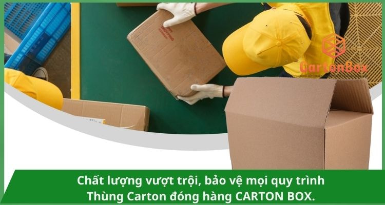 Hướng Dẫn Đóng Gói Hàng Hóa Bằng Thùng Carton Đóng Hàng