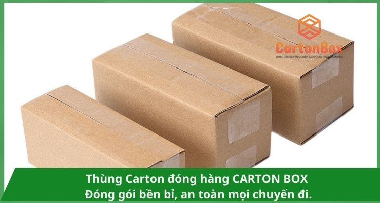 Thùng Carton Đóng Hàng: Sự Lựa Chọn Thân Thiện Với Môi Trường