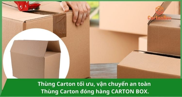 Những Kiểu Dáng Thùng Carton Đóng Hàng Phổ Biến Nhất