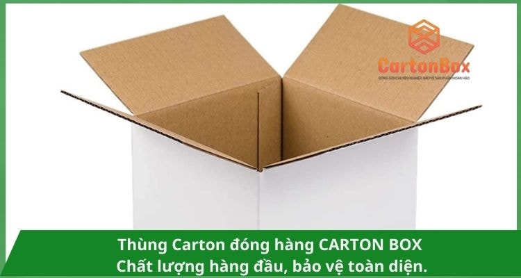 Những Kiểu Dáng Thùng Carton Đóng Hàng Phổ Biến Nhất