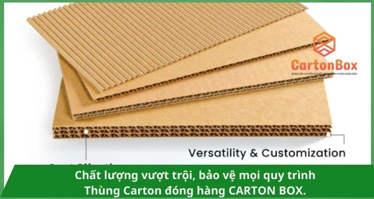 Các Cấu Trúc Giấy Làm Thùng Carton Đóng Hàng