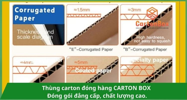 Giải Pháp Đóng Gói Bền Vững Với Thùng Carton Đóng Hàng Cao Cấp