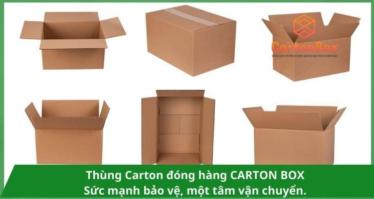 Kiến Thức Lựa Chọn Giải Pháp In Trên Thùng Carton Đóng Hàng