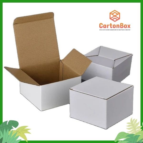 Đặt Hàng Hộp Carton Đóng Hàng Tại Công Ty Sản Xuất Hộp Giấy: Lựa Chọn