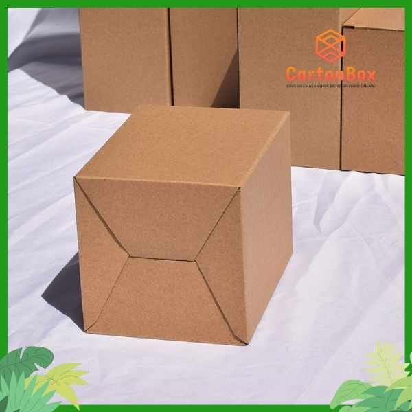 Thùng Giấy Carton Giá Rẻ: Đáp Ứng Nhu Cầu Đóng Gói Đang Tăng Cao