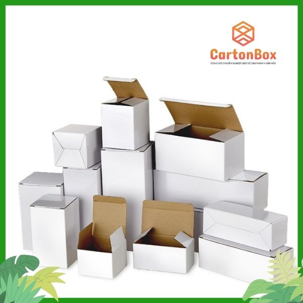 Hộp Carton Đóng Hàng: Giải Pháp Đóng Gói Chuyên Nghiệp Từ Công Ty Sản
