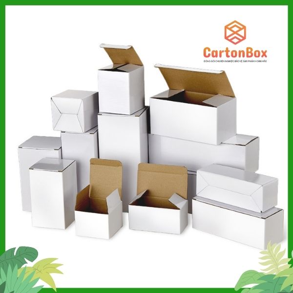 Đặt Hàng Hộp Carton Đóng Hàng Tại Công Ty Sản Xuất Hộp Giấy: Lựa Chọn