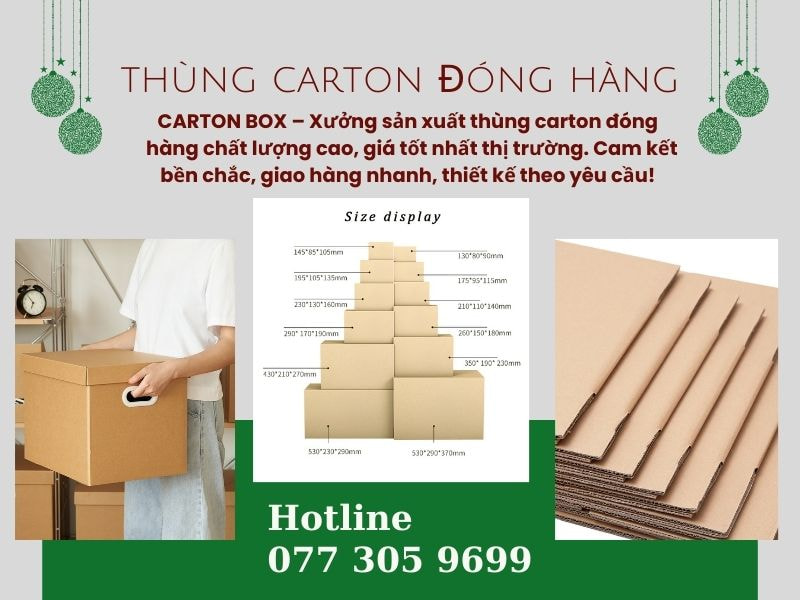 CARTON BOX – Tư Vấn Chuyên Nghiệp Giúp Bạn Chọn Thùng Carton Đóng Hàng Phù Hợp
