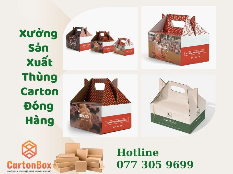 CARTON BOX – Tư Vấn Chuyên Nghiệp Giúp Bạn Chọn Thùng Carton Đóng Hàng Phù Hợp