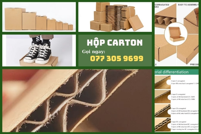 Bao bì hộp Carton in Flexo – Chất lượng vượt trội, tiết kiệm chi phí tối đa