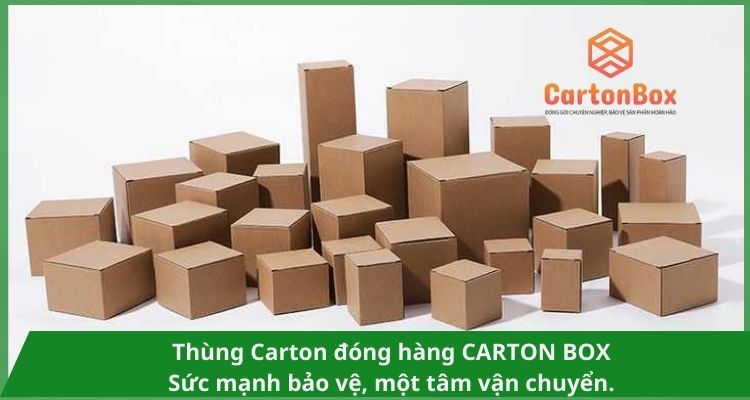 Thùng Carton Đóng Hàng - Vòng Chọn Hoàn Hảo Cho Mọi Hàng Hóa