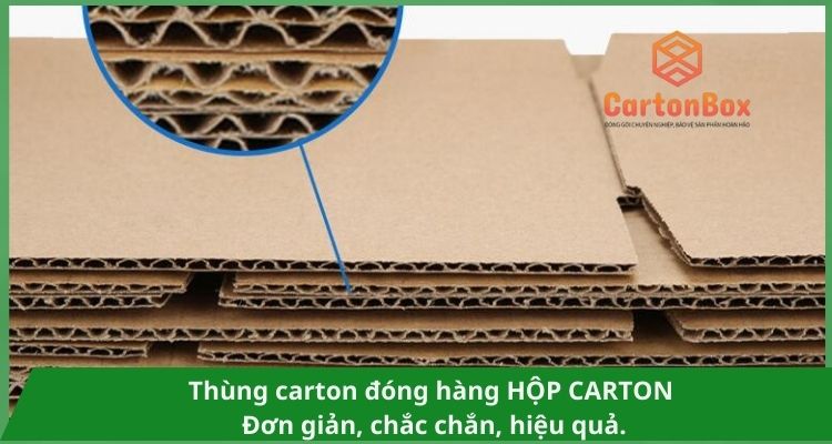 Giải Pháp Đóng Gói Bền Vững Với Thùng Carton Đóng Hàng Cao Cấp