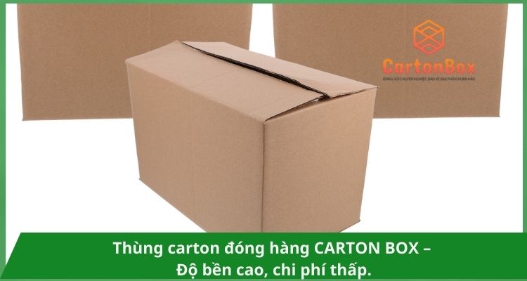 Thùng Carton Đóng Hàng - Vòng Chọn Hoàn Hảo Cho Mọi Hàng Hóa