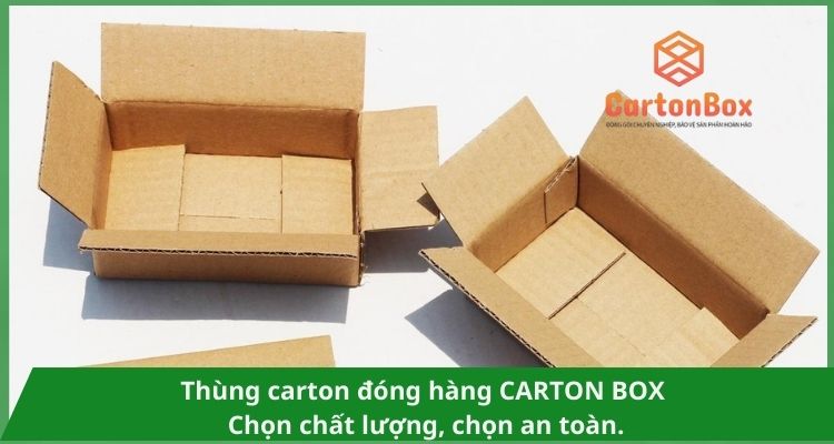 Thùng Carton đóng hàng Carton Box Đóng Gói Tiện Lợi