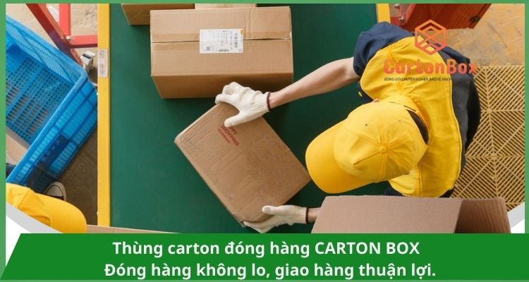 Thùng Carton Đóng Hàng Cao Cấp Cho Giải Pháp Đóng Gói Hiện Đại