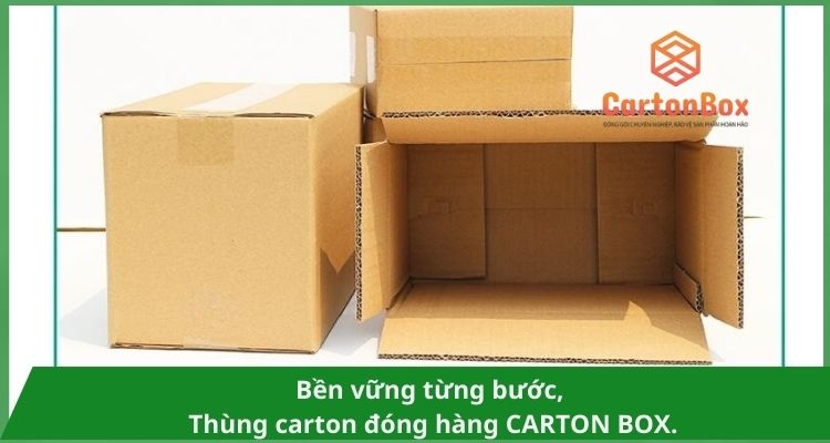 Thùng carton đóng hàng giá rẻ Carton Box