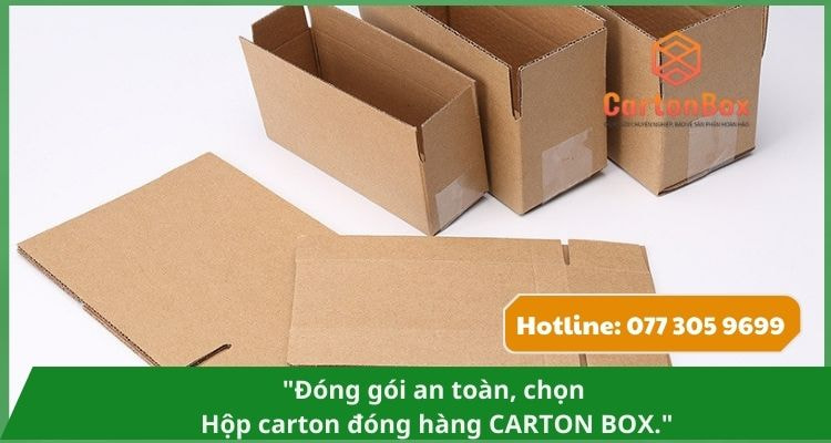 Hộp Carton Đóng Hàng Thân Thiện Với Môi Trường – Lựa Chọn Bền Vững