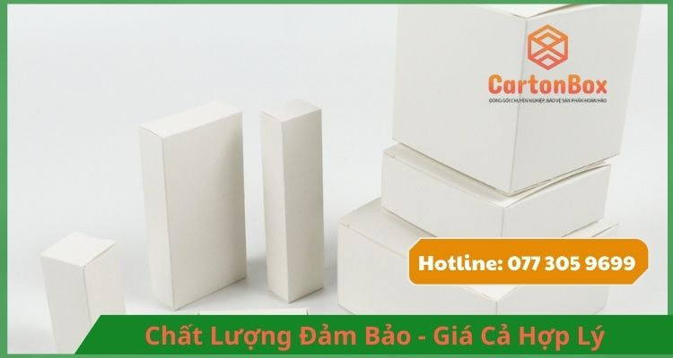 Hộp Carton Đóng Hàng Thông Minh – Dễ Dàng Lắp Ráp Và Sử Dụng