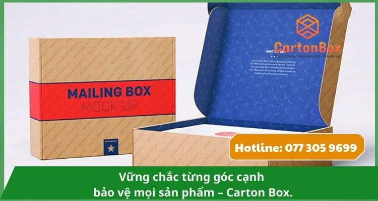 Hộp Carton Đóng Hàng Bền Bỉ – Lựa Chọn Hoàn Hảo Cho Vận Tải Xa