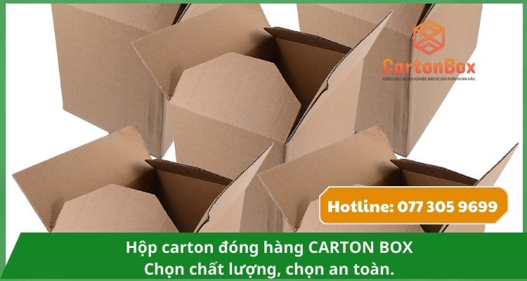 Hộp Carton Đóng Hàng Giá Sỉ – Tối Ưu Chi Phí Đóng Gói