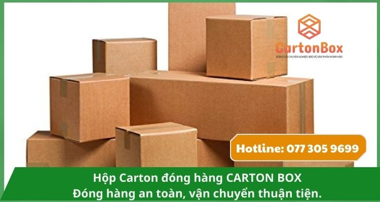 Hộp Carton Đóng Hàng Giá Sỉ – Tối Ưu Chi Phí Đóng Gói