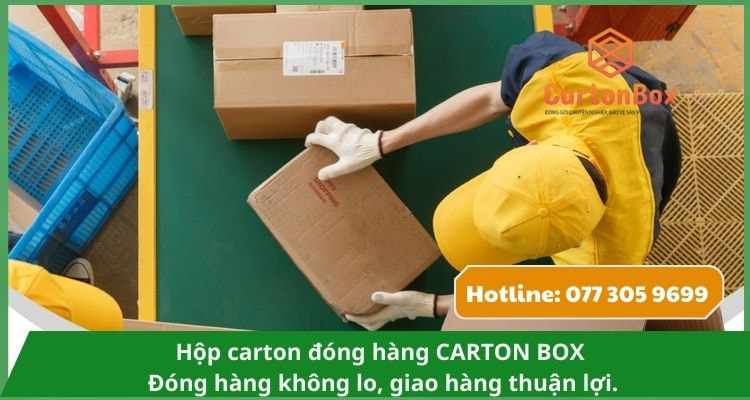 Hộp Carton Đóng Hàng Chống Sốc – Bảo Vệ Sản Phẩm Tối Ưu