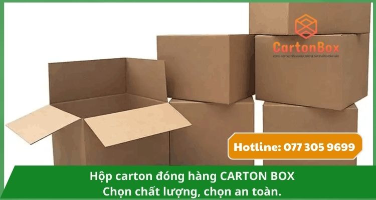 Hộp Carton Đóng Hàng Phân Hủy Sinh Học – Giải Pháp Xanh Cho Doanh Nghiệp