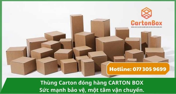 Hộp Carton Đóng Hàng Tùy Biến Kích Thước – Phù Hợp Mọi Nhu Cầu Đóng Gói