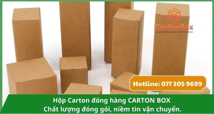 Hộp Carton Đóng Hàng Thân Thiện Với Môi Trường – Lựa Chọn Bền Vững