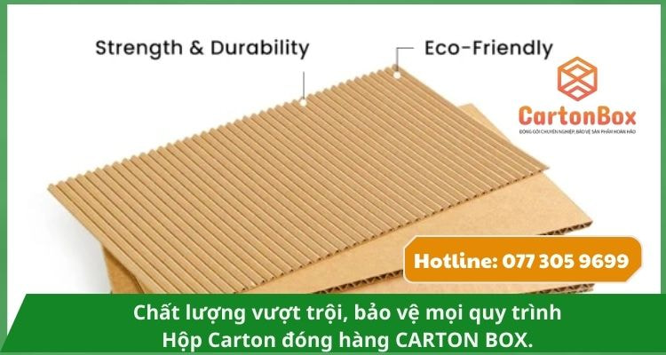 Hộp Carton Đóng Hàng Tùy Biến Kích Thước – Phù Hợp Mọi Nhu Cầu Đóng Gói