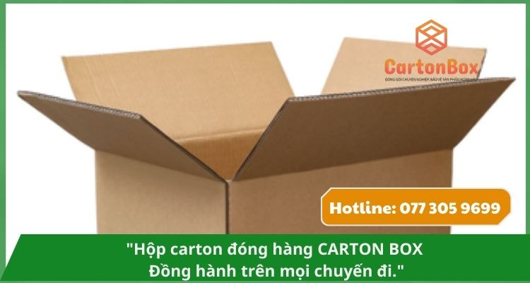 Hộp Carton Đóng Hàng Cao Cấp – Sự Lựa Chọn Tinh Tế Cho Thương Hiệu