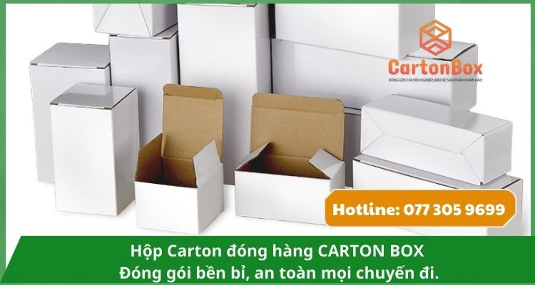 Hộp Carton Đóng Hàng Tùy Biến Kích Thước – Phù Hợp Mọi Nhu Cầu Đóng Gói