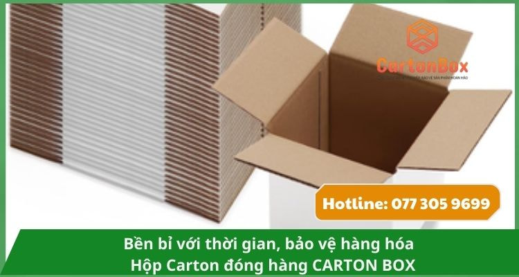 Hộp Carton Đóng Hàng Thân Thiện Với Môi Trường – Lựa Chọn Bền Vững