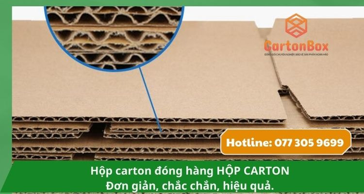 Hộp Carton Đóng Hàng Kết Hợp In Ấn Đẹp Mắt – Thu Hút Khách Hàng