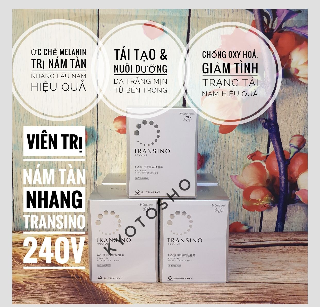 Viên trị nám Transino 240v(20h/thùng)