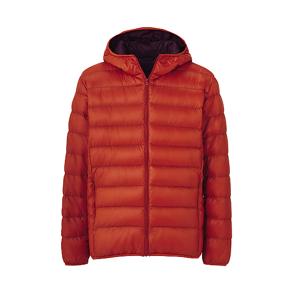 Áo lông vũ nam cổ trụ Size L - 24 Orange