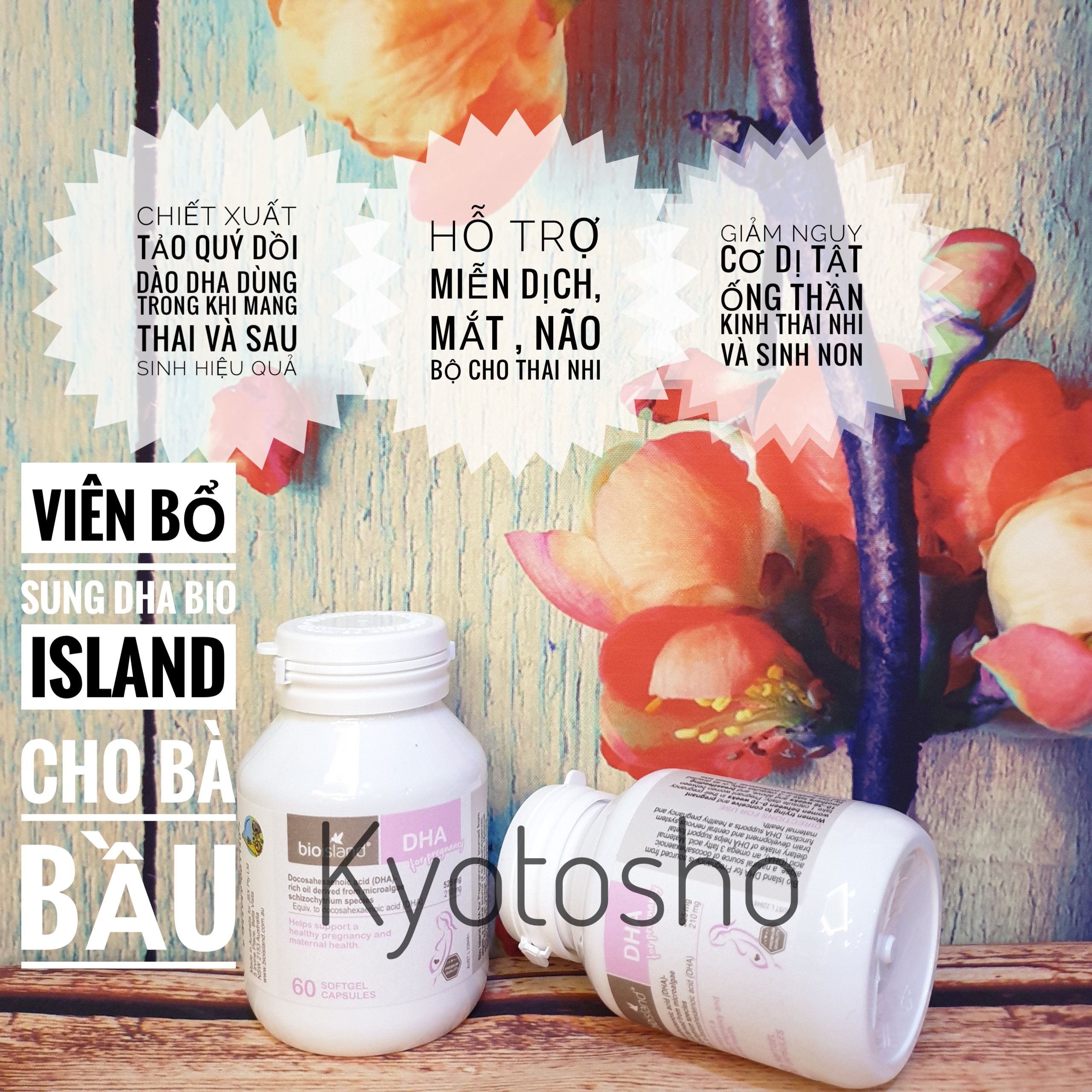 Viên Uống Bio Island Bổ Sung Dha Cho Bà Bầu Và con bú 60v